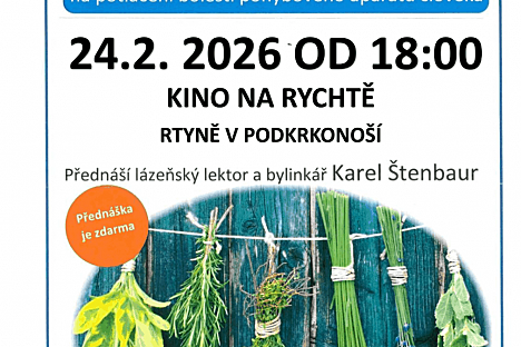 Léčivá síla bylin a domácích mastiček