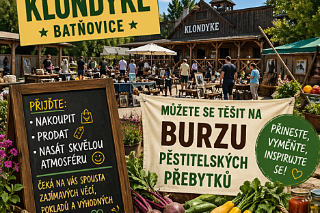  Blešák na Klondyku 