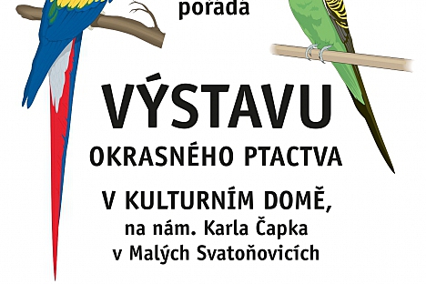 Výstava okrasného ptactva v Malých Svatoňovicích