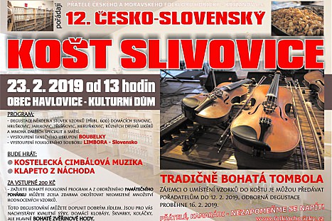 Košt slivovice