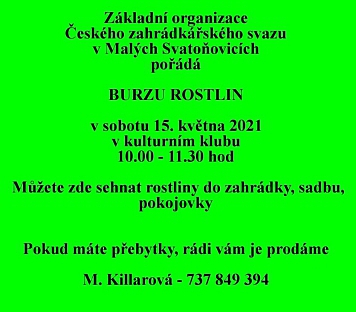 Burza rostlin