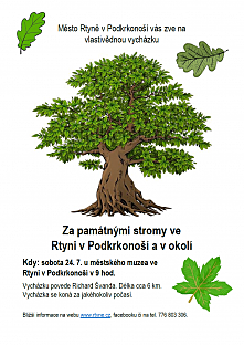 Za památnými stromy...